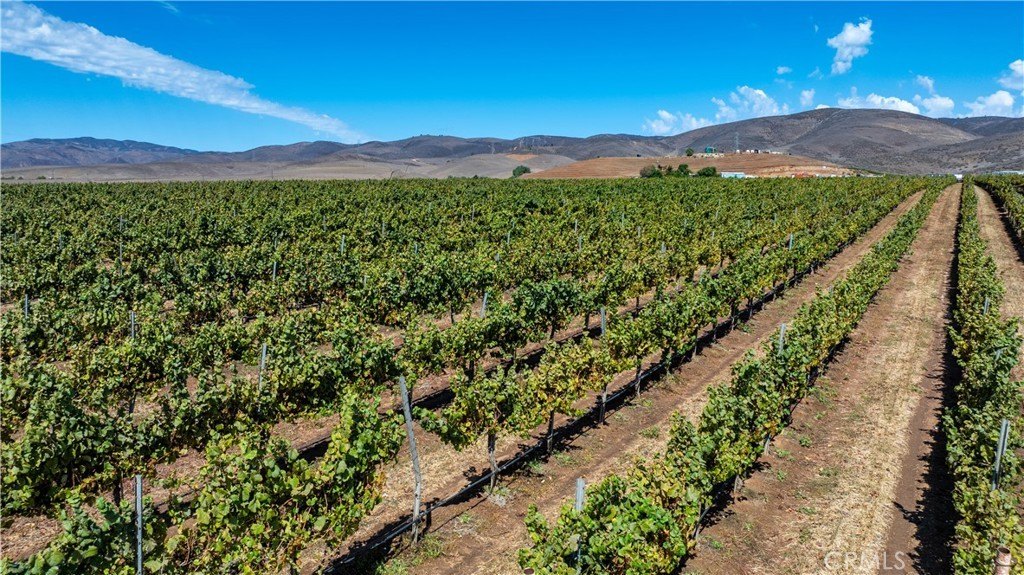 Soledad, California, 93960, United States, 3 Bedrooms Bedrooms, ,2 BathroomsBathrooms,Residential,Forsale,1997692