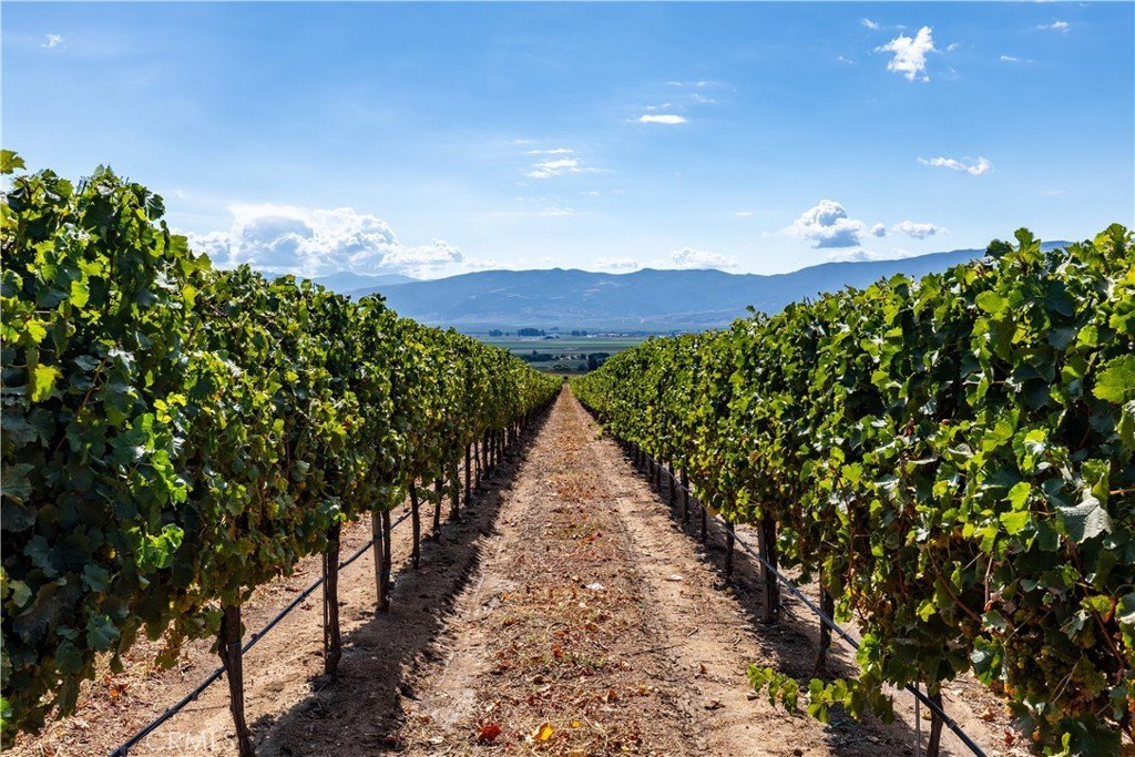 Soledad, California, 93960, United States, 3 Bedrooms Bedrooms, ,2 BathroomsBathrooms,Residential,Forsale,1997692