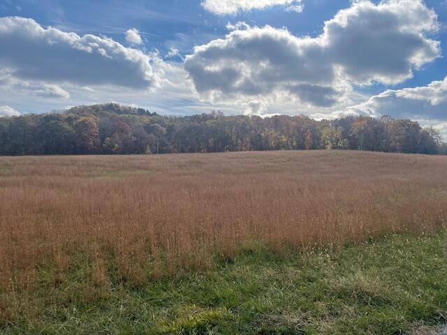 Dayton, Tennessee, 37321, United States, ,Residential,Forsale,2009518