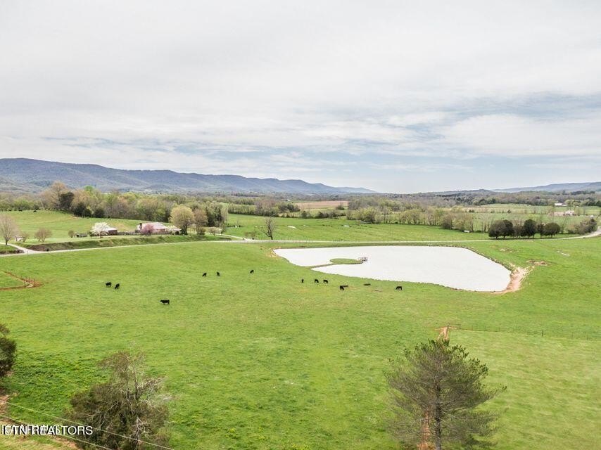 Pikeville, Tennessee, 37367, United States, 5 Bedrooms Bedrooms, ,5.5 BathroomsBathrooms,Residential,Forsale,1929853