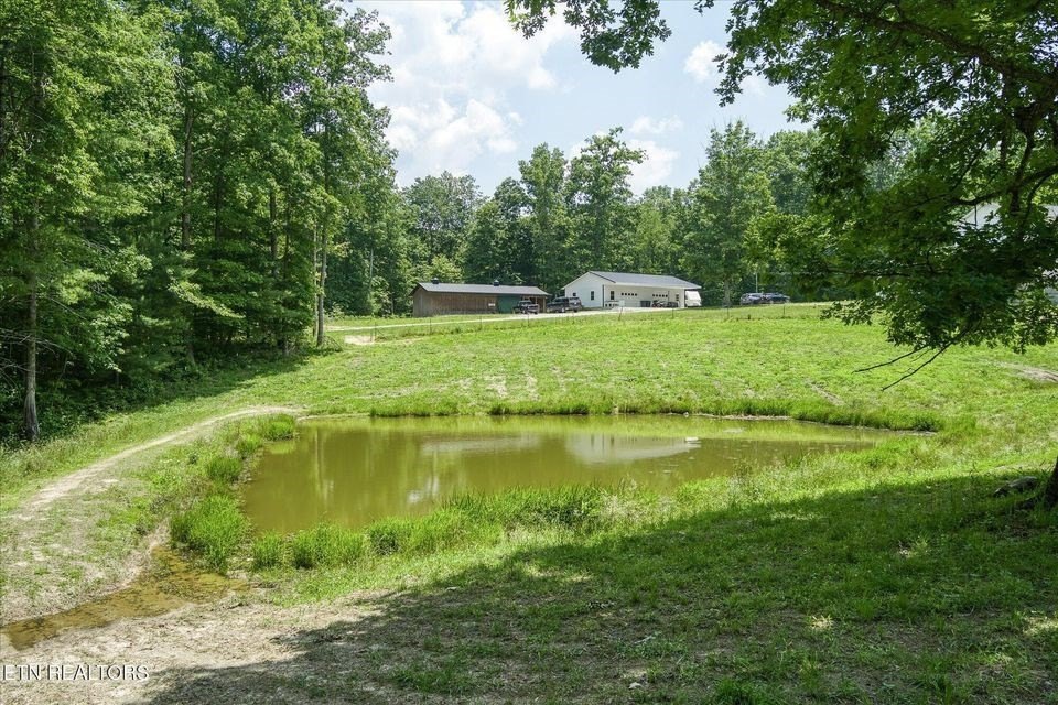 Deer Lodge, Tennessee, 37726, United States, 6 Bedrooms Bedrooms, ,2 BathroomsBathrooms,Residential,Forsale,1929820