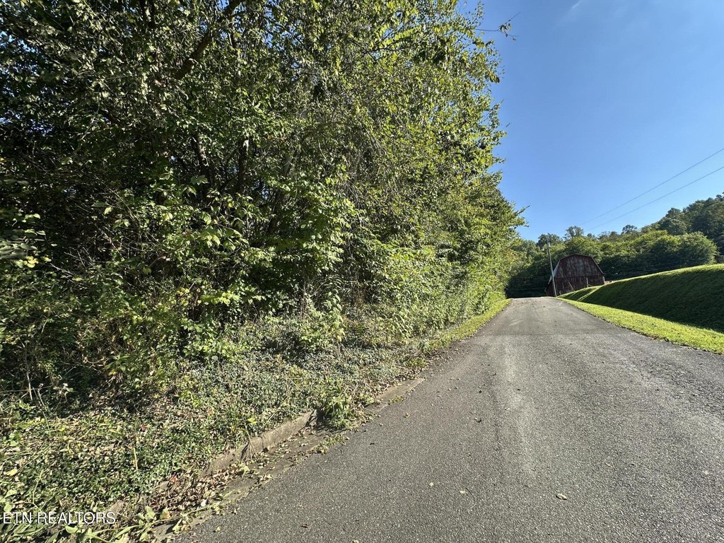 Tellico Plains, Tennessee, 37385, United States, ,Land,Forsale,1996595