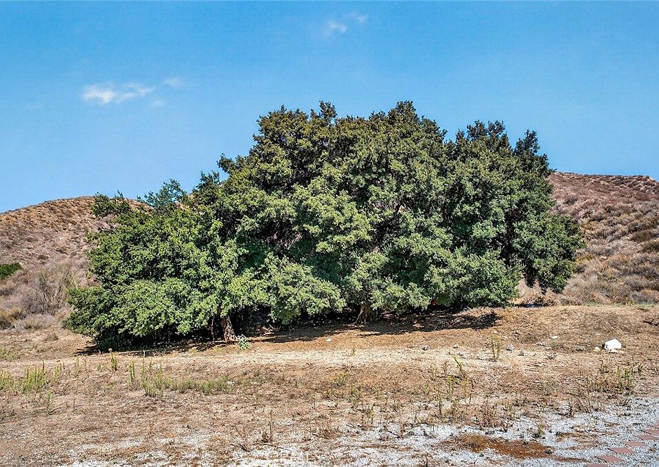 Temecula, California, 92592, United States, 3 Bedrooms Bedrooms, ,2 BathroomsBathrooms,Residential,Forsale,1992747