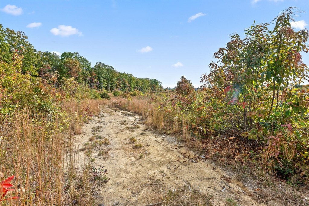 Spencer, Tennessee, 38585, United States, ,Land,Forsale,2009589
