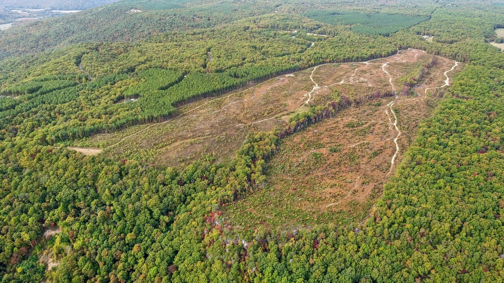 Spencer, Tennessee, 38585, United States, ,Land,Forsale,2009589