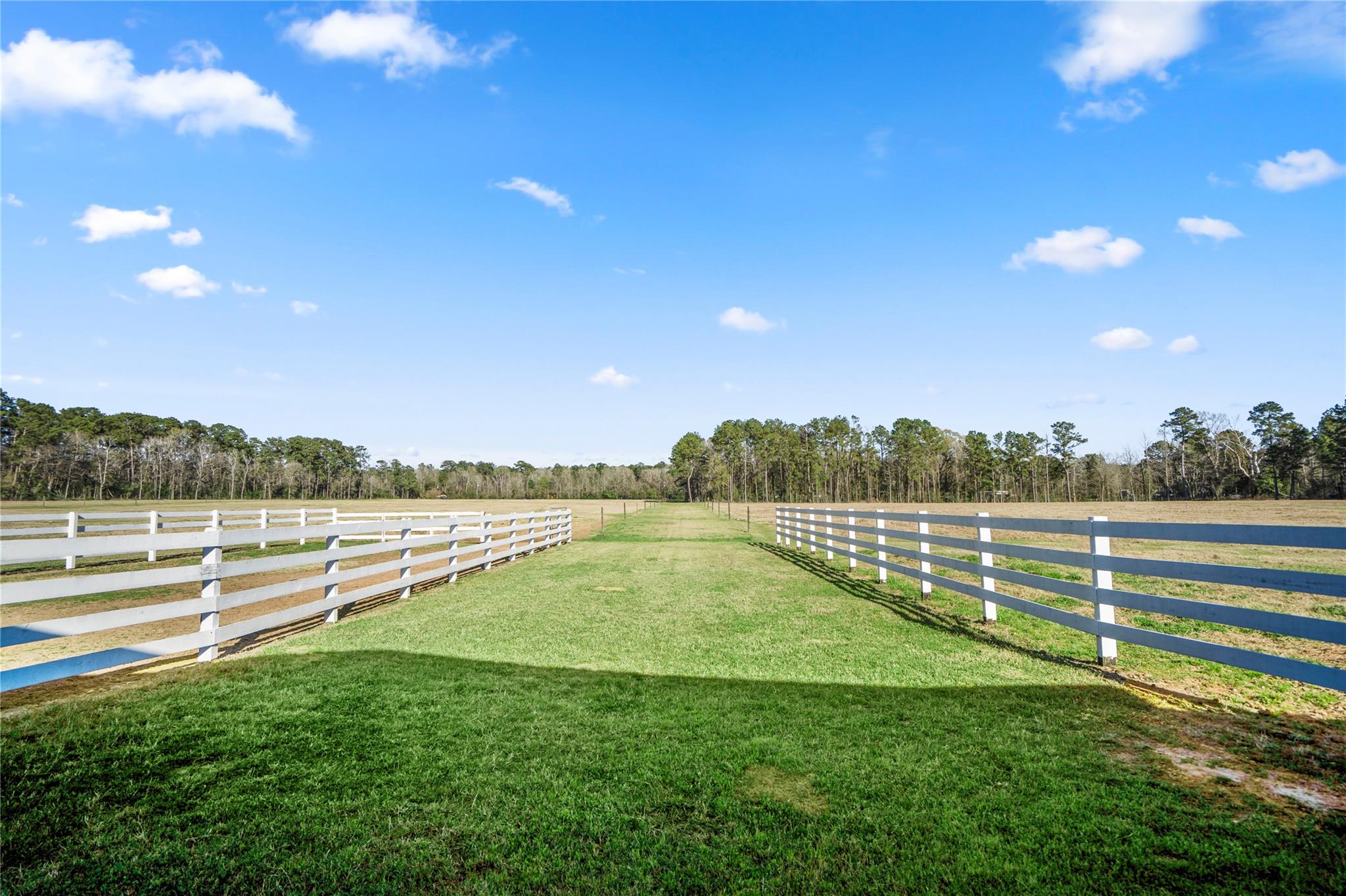 Cleveland, Texas, 77328, United States, 3 Bedrooms Bedrooms, ,3 BathroomsBathrooms,Residential,Forsale,1973440