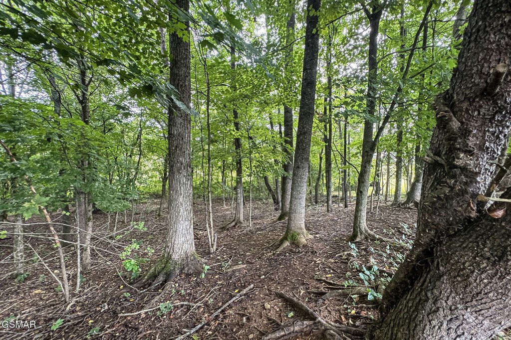 Sevierville, Tennessee, 37862, United States, ,Land,Forsale,1999463