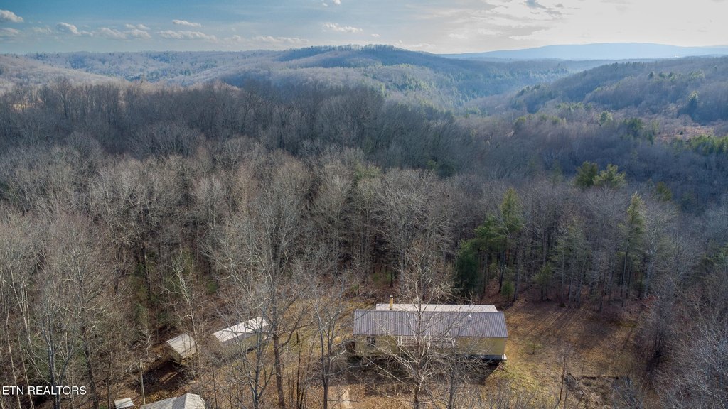 Lancing, Tennessee, 37770, United States, ,Land,Forsale,1999441