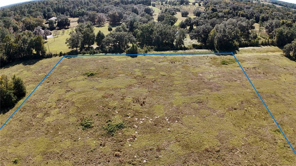OCALA, Florida, 34482, United States, ,Land,Forsale,1994133