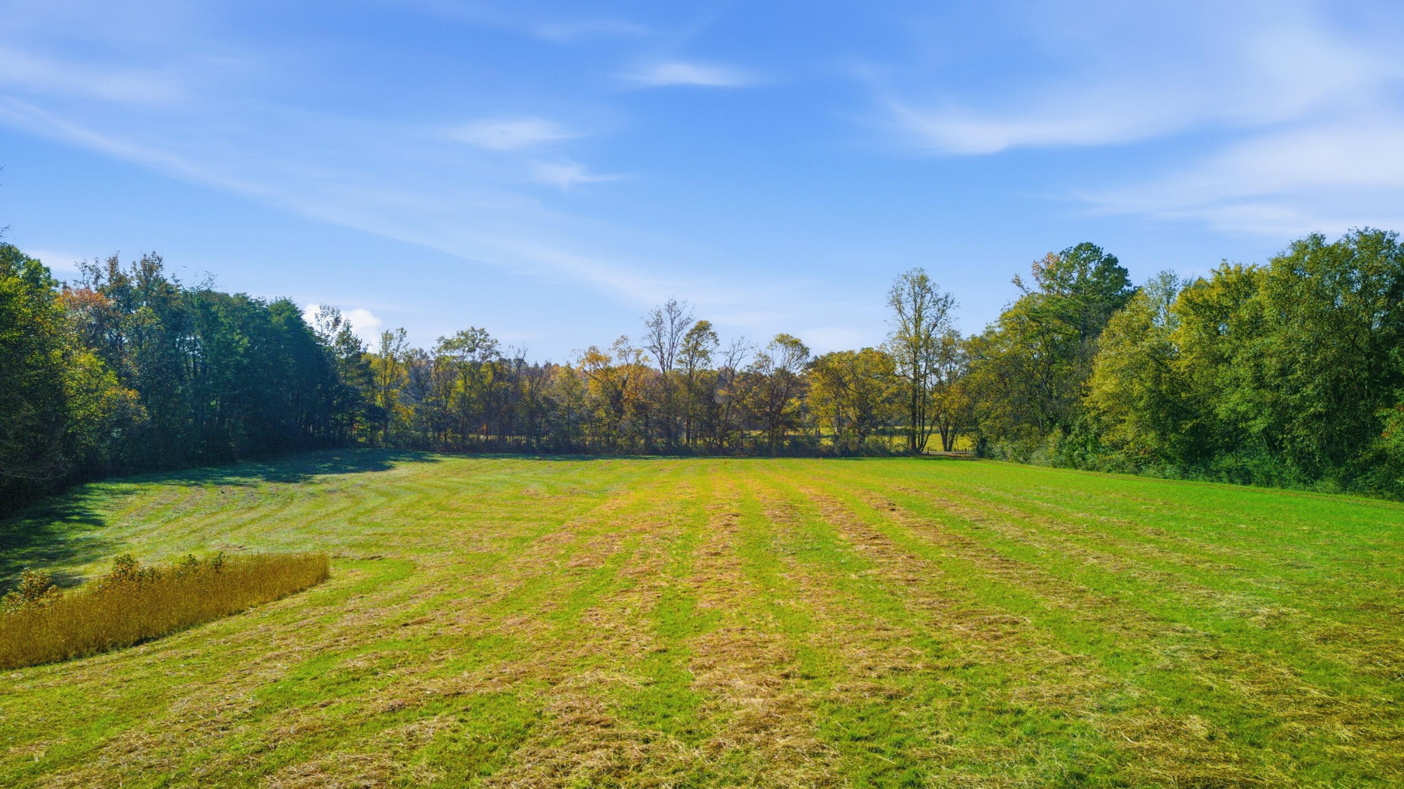 Bridgeport, Alabama, 35740, United States, 4 Bedrooms Bedrooms, ,3.5 BathroomsBathrooms,Residential,Forsale,2009579