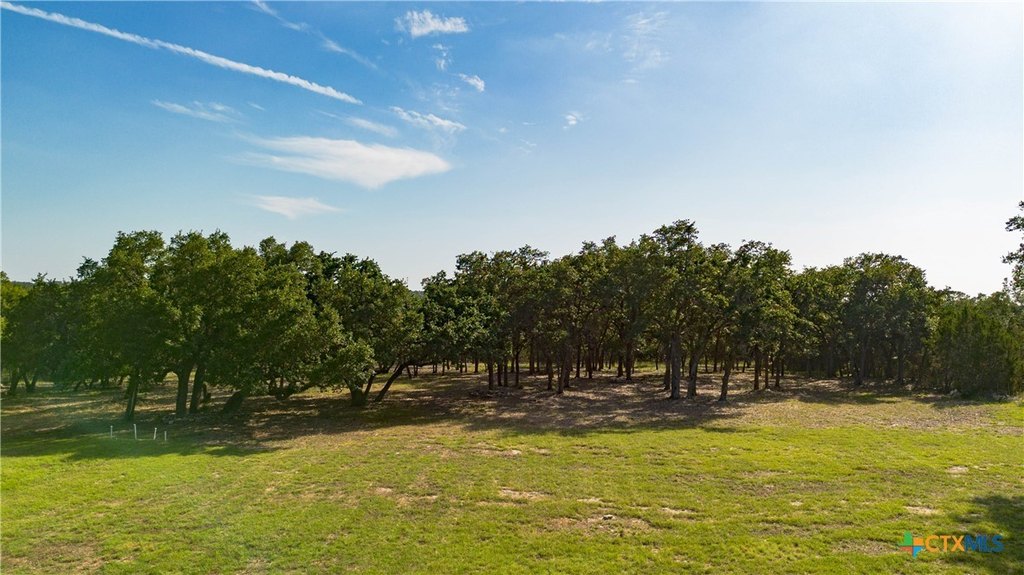 Georgetown, Texas, 78628, United States, 8 Bedrooms Bedrooms, ,6.5 BathroomsBathrooms,Residential,Forsale,2008409