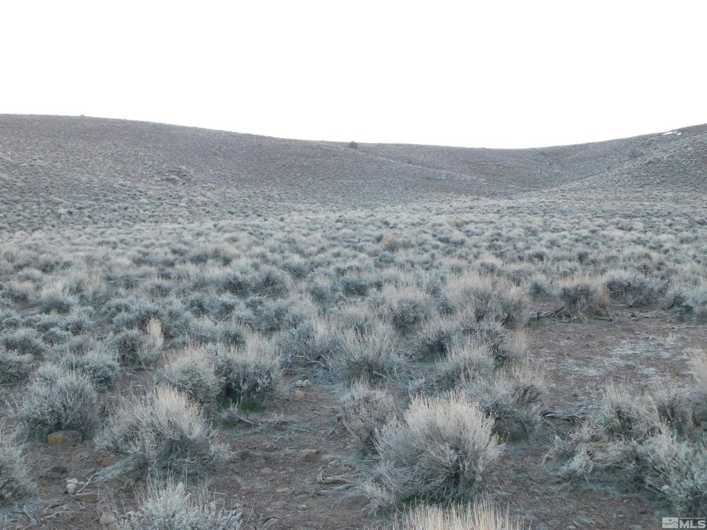 Dayton, Nevada, 89403, United States, ,Land,Forsale,1886494