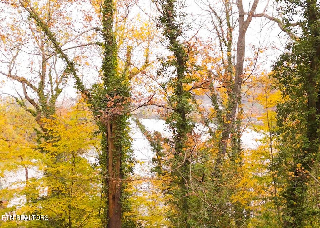 Knoxville, Tennessee, 37920, United States, ,Land,Forsale,1999471