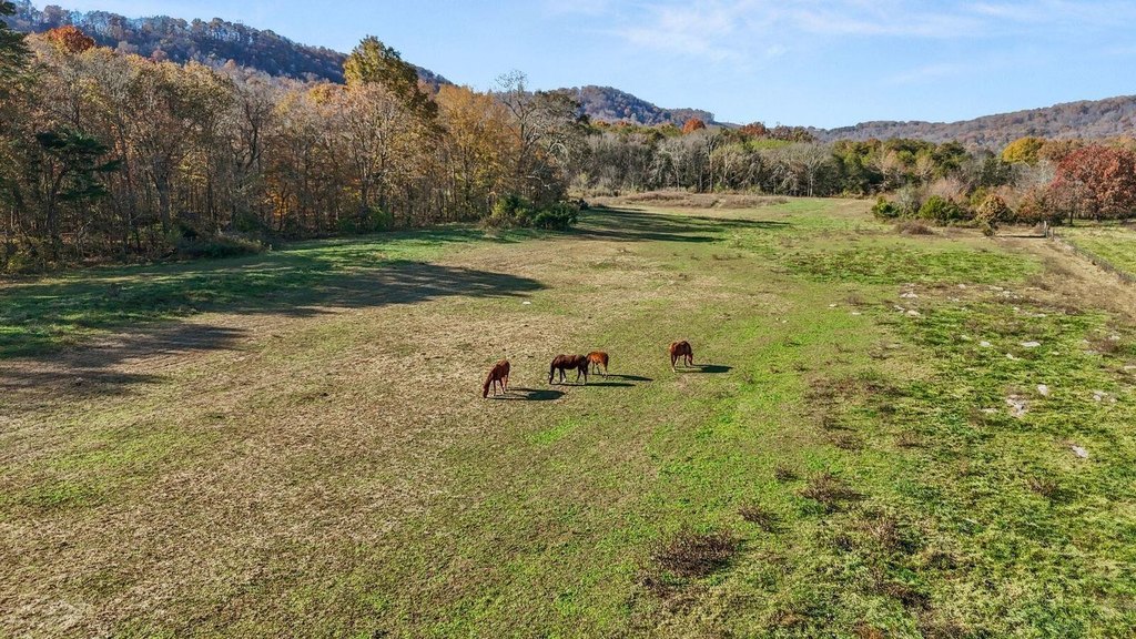 New Market, Tennessee, 37820, United States, ,Land,Forsale,2002620