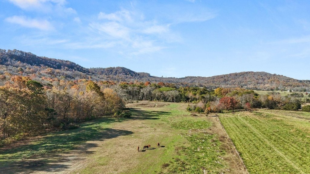 New Market, Tennessee, 37820, United States, ,Land,Forsale,2002620