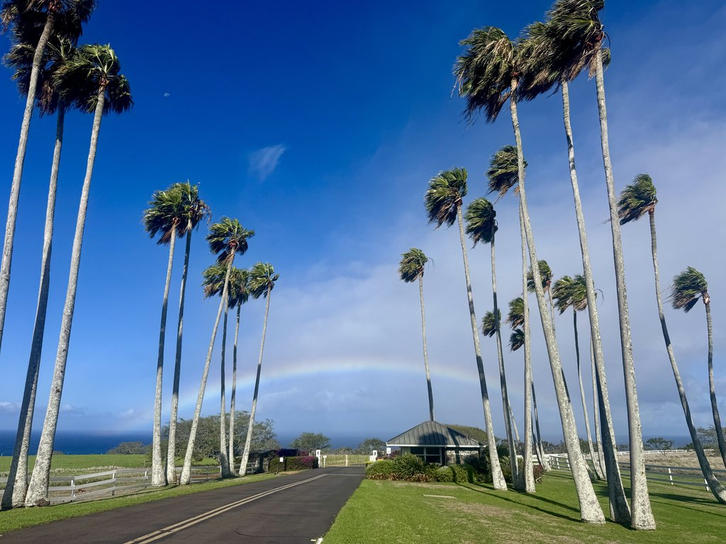 Hawi, Hawaii, 96719, United States, ,Land,Forsale,2004411