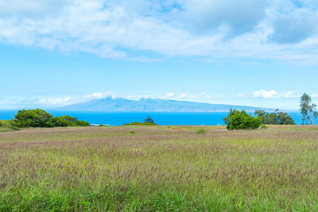 Lahaina, Hawaii, 96761, United States, ,Land,Forsale,2009551