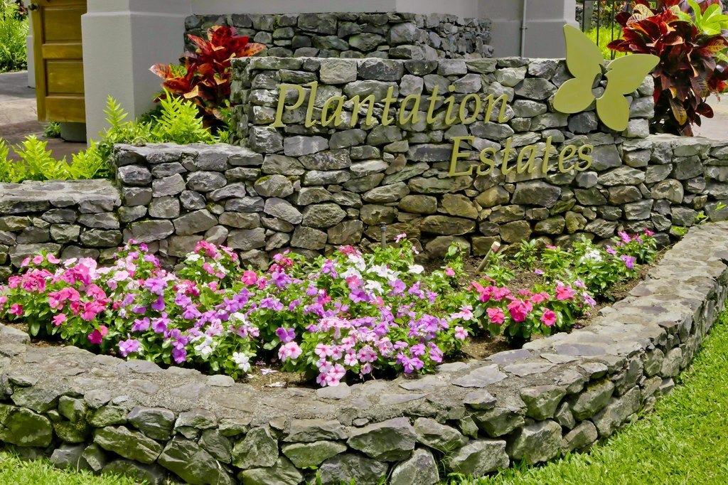 Lahaina, Hawaii, 96761, United States, ,Land,Forsale,2009551