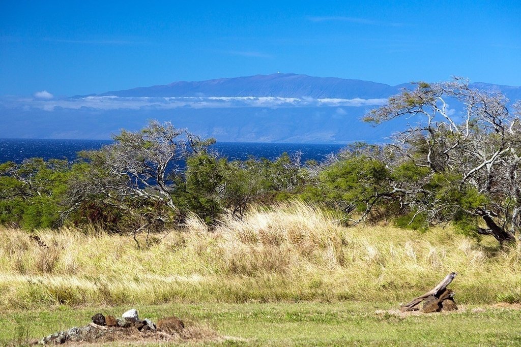 Hawi, Hawaii, 96719, United States, ,Land,Forsale,1886637