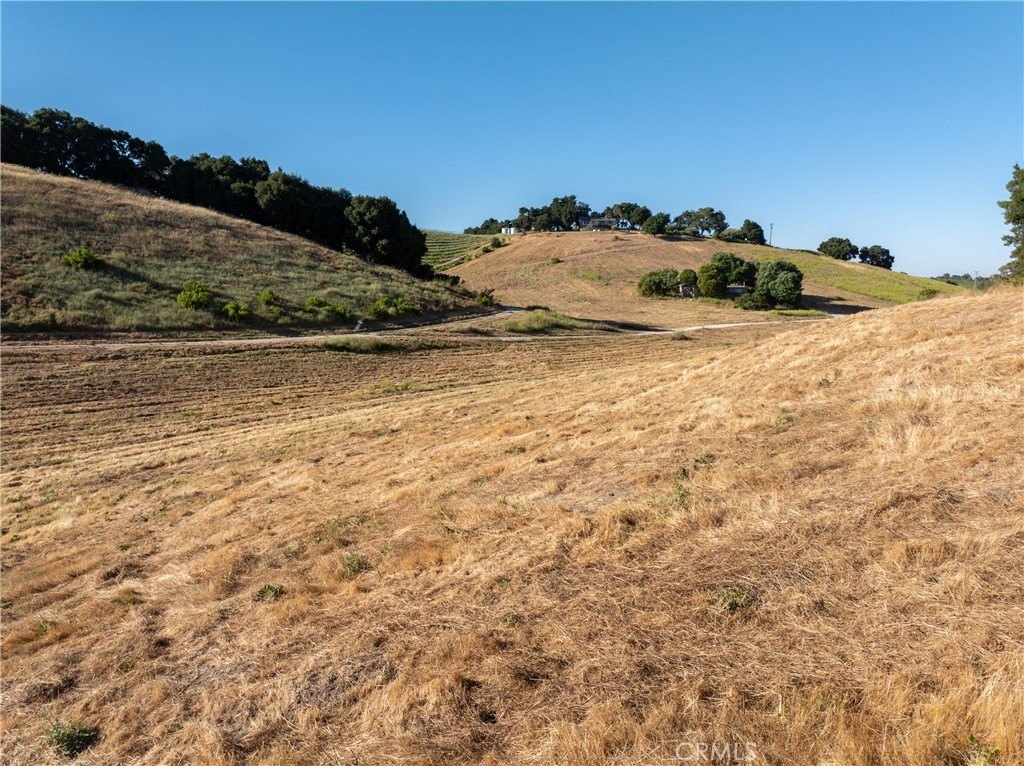 Templeton, California, 93465, United States, 6 Bedrooms Bedrooms, ,5 BathroomsBathrooms,Residential,Forsale,2009030