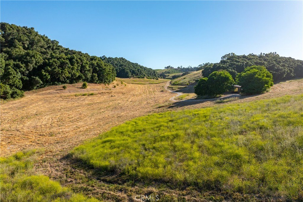 Templeton, California, 93465, United States, 6 Bedrooms Bedrooms, ,5 BathroomsBathrooms,Residential,Forsale,2009030