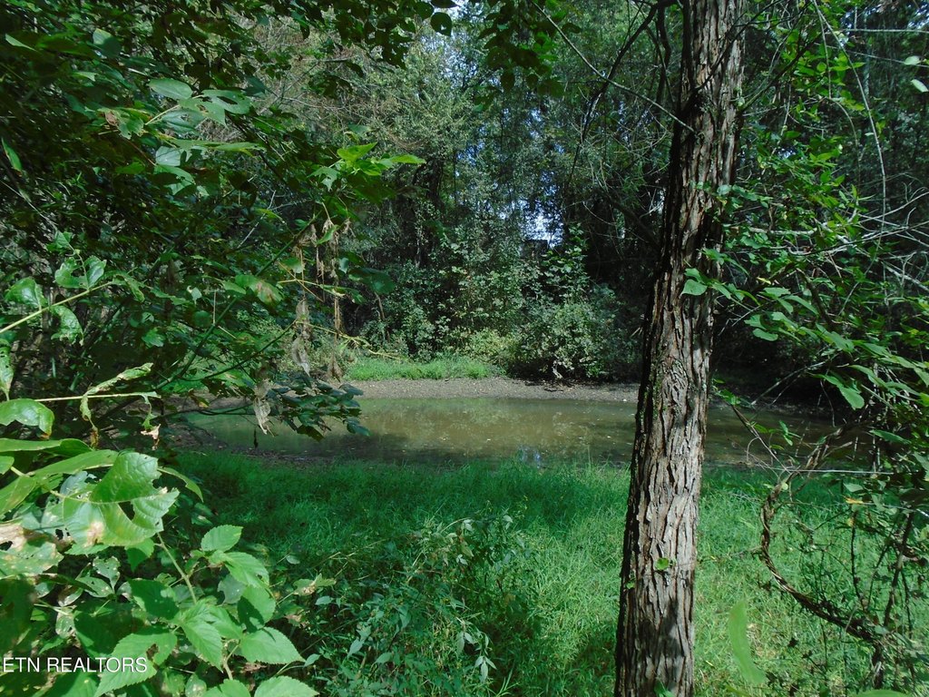 Friendsville, Tennessee, 37737, United States, 3 Bedrooms Bedrooms, ,2 BathroomsBathrooms,Residential,Forsale,1973588