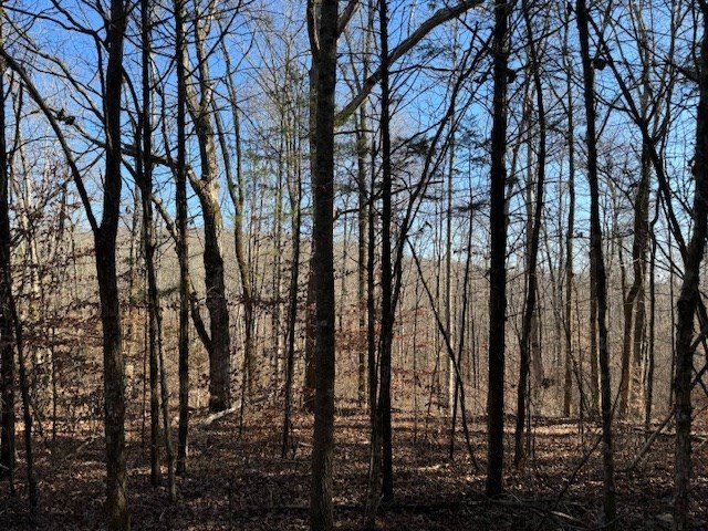 Celina, Tennessee, 38551, United States, ,Land,Forsale,1999487