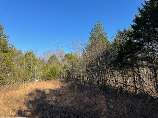 Celina, Tennessee, 38551, United States, ,Land,Forsale,1999487