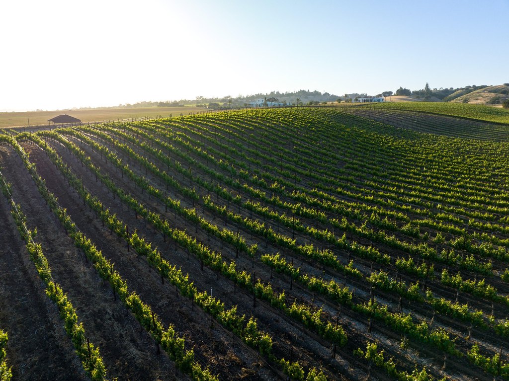 SANTA YNEZ, California, 93460, United States, ,Land,Forsale,1985949