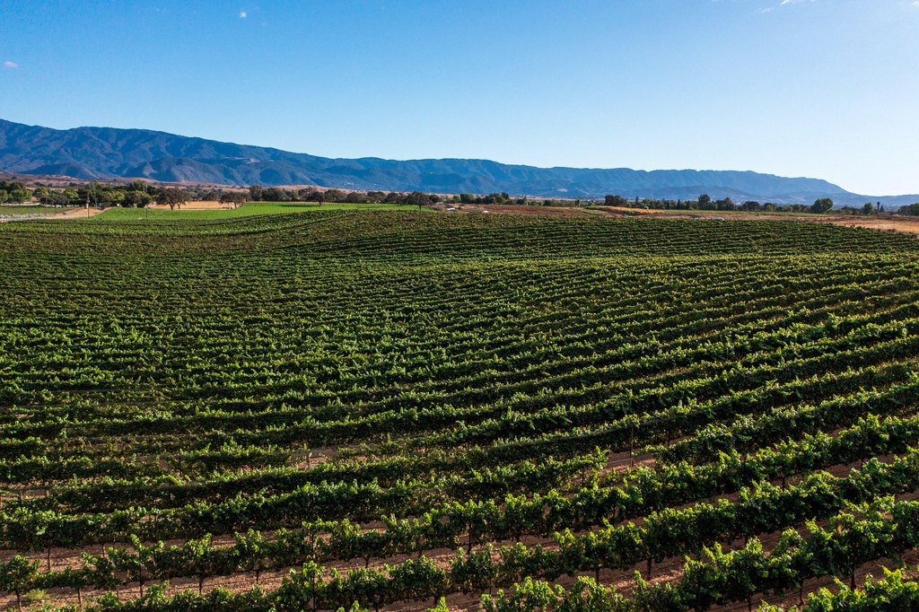 SANTA YNEZ, California, 93460, United States, ,Land,Forsale,1985949
