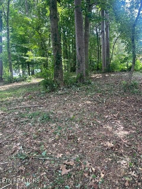 Loudon, Tennessee, 37774, United States, ,Land,Forsale,1893722