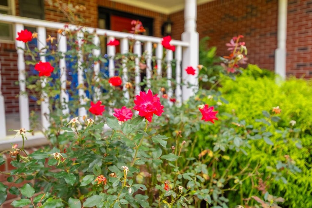 Calhoun, Georgia, 30701, United States, 5 Bedrooms Bedrooms, ,4.5 BathroomsBathrooms,Residential,Forsale,2004688