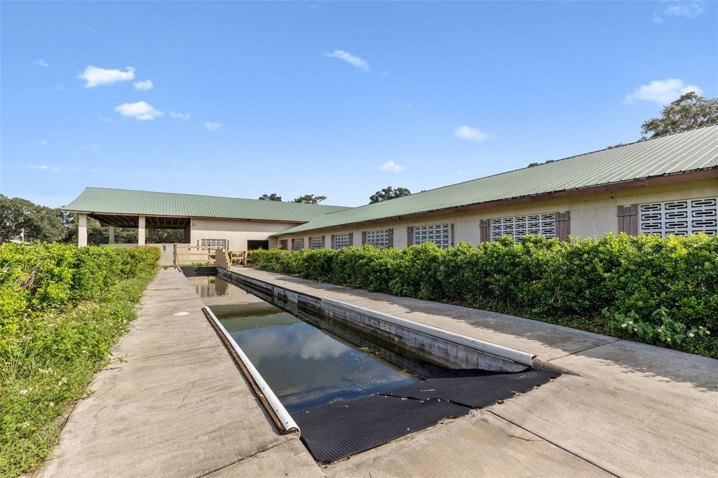 WILLISTON, Florida, 32696, United States, ,Commercial,Forsale,2004593