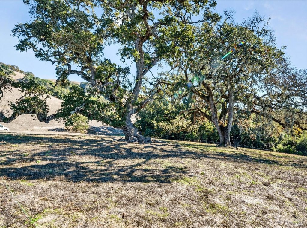 Santa Rosa, California, 95404, United States, ,Land,Forsale,1985925