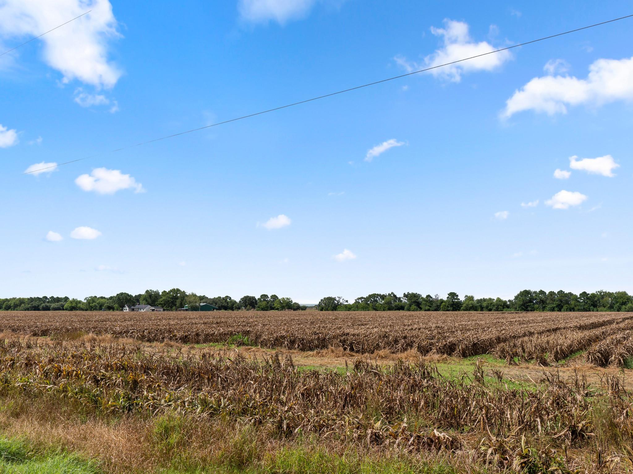 Needville, Texas, 77461, United States, ,Land,Forsale,1973439