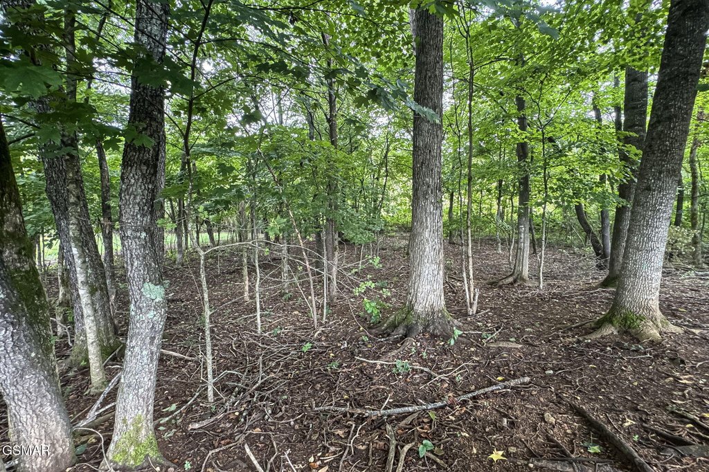 Sevierville, Tennessee, 37862, United States, ,Land,Forsale,1999463