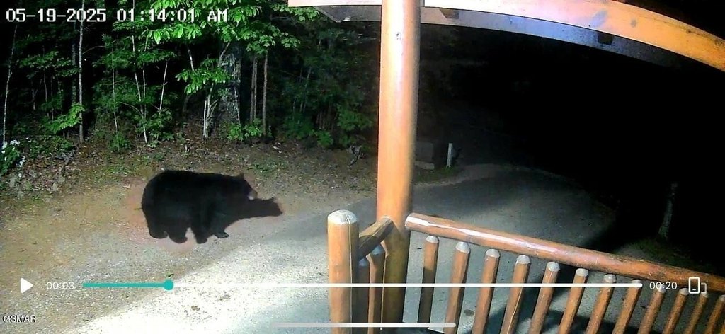 Sevierville, Tennessee, 37862, United States, 3 Bedrooms Bedrooms, ,2 BathroomsBathrooms,Residential,Forsale,1999446