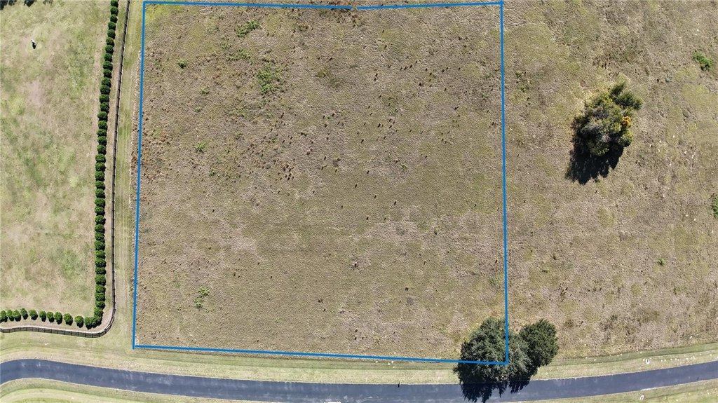OCALA, Florida, 34482, United States, ,Land,Forsale,1994134