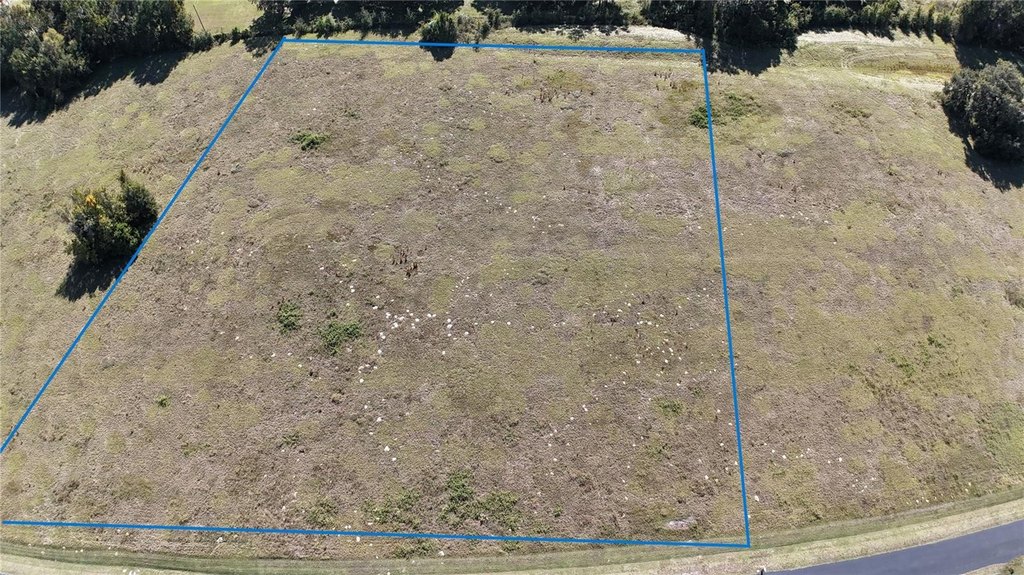OCALA, Florida, 34482, United States, ,Land,Forsale,1994133