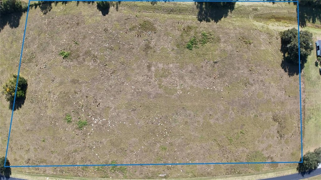 OCALA, Florida, 34482, United States, ,Land,Forsale,1994132