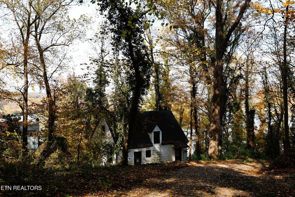 Knoxville, Tennessee, 37920, United States, ,Land,Forsale,1999471