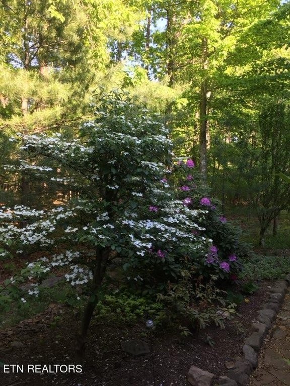 Fairfield Glade, Tennessee, 38558, United States, 3 Bedrooms Bedrooms, ,2 BathroomsBathrooms,Residential,Forsale,1996600