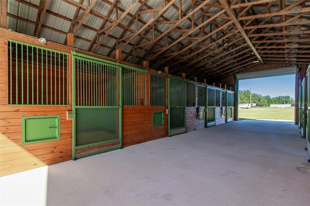 DUNNELLON, Florida, 34431, United States, 5 Bedrooms Bedrooms, ,2.5 BathroomsBathrooms,Residential,Forsale,2009539