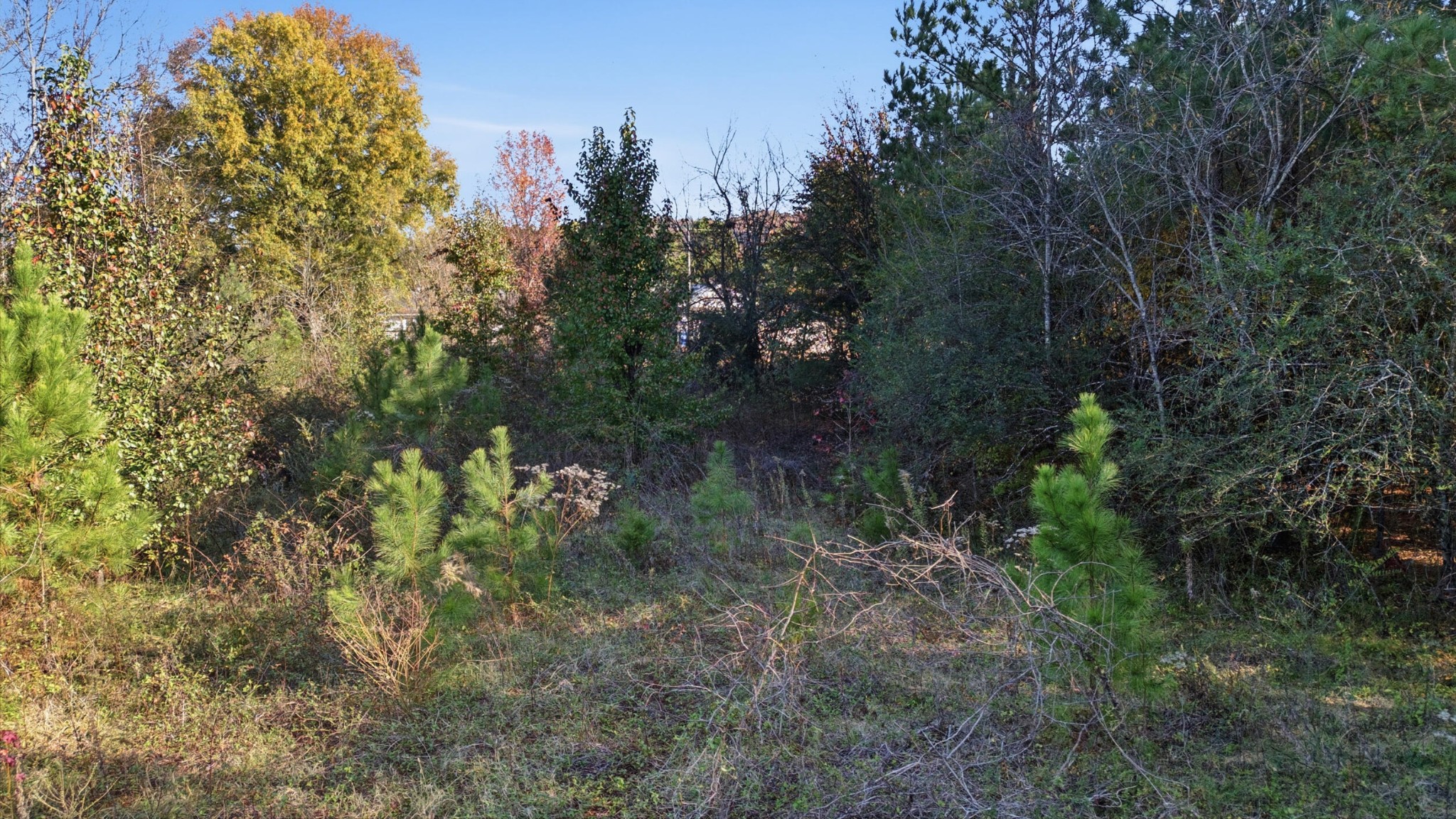 Chattanooga, Tennessee, 37421, United States, ,Land,Forsale,2009580