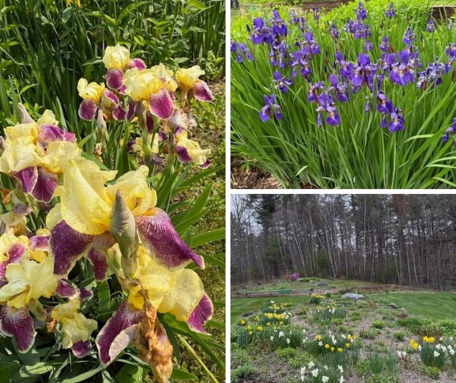 Williston, Vermont, 05495, United States, 2 Bedrooms Bedrooms, ,2 BathroomsBathrooms,Residential,Forsale,1999493