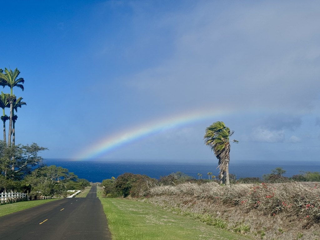 Hawi, Hawaii, 96719, United States, ,Land,Forsale,2004411