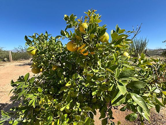 Tucson, Arizona, 85756, United States, 4 Bedrooms Bedrooms, ,2 BathroomsBathrooms,Residential,Forsale,2004439