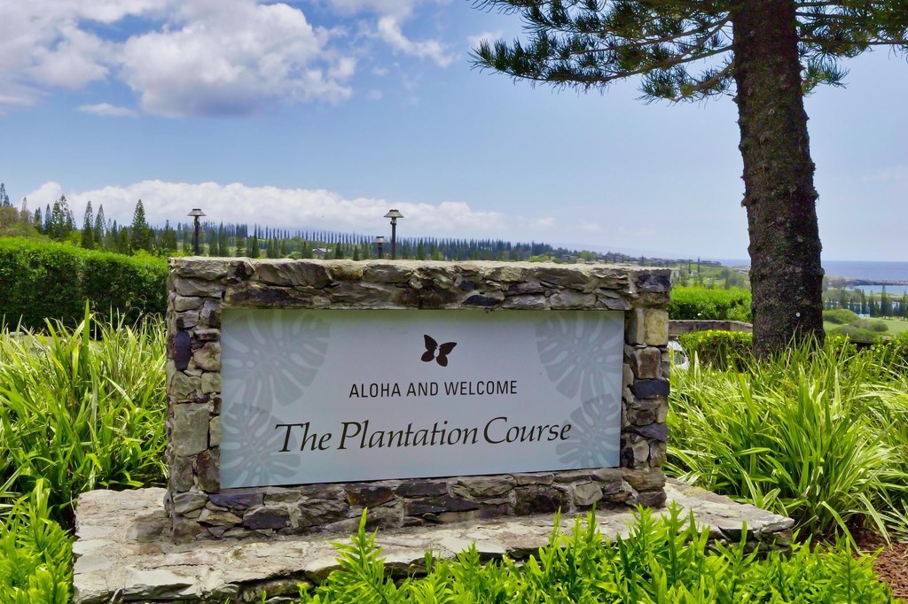 Lahaina, Hawaii, 96761, United States, ,Land,Forsale,2009551