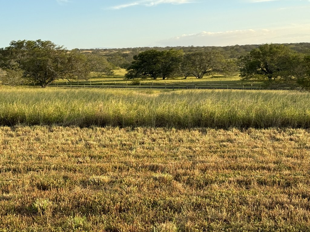 Hawi, Hawaii, 96719, United States, ,Land,Forsale,1886637