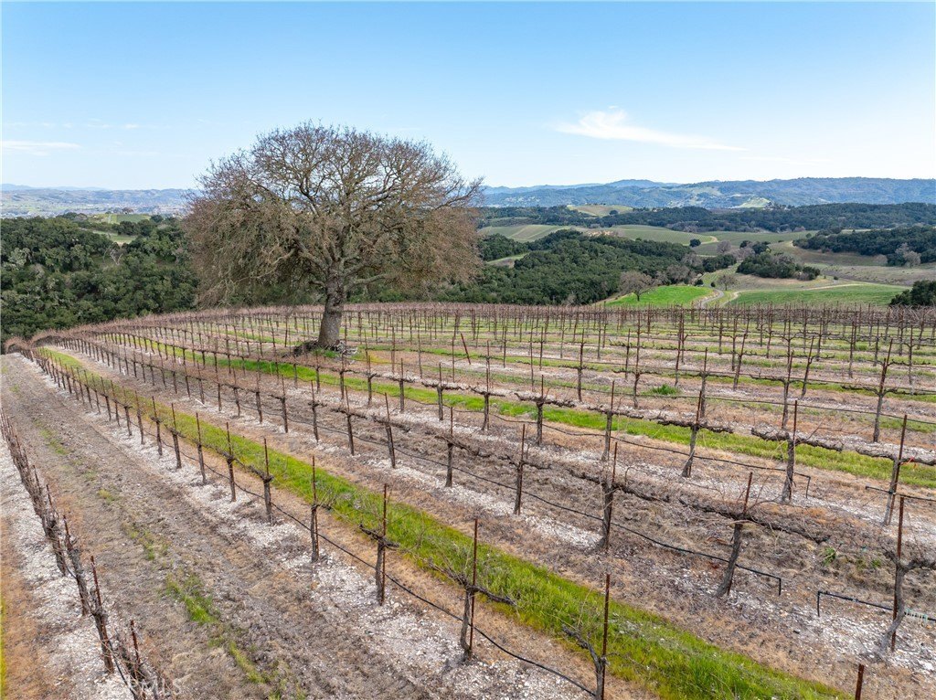 Paso Robles, California, 93446, United States, ,Commercial,Forsale,2009040